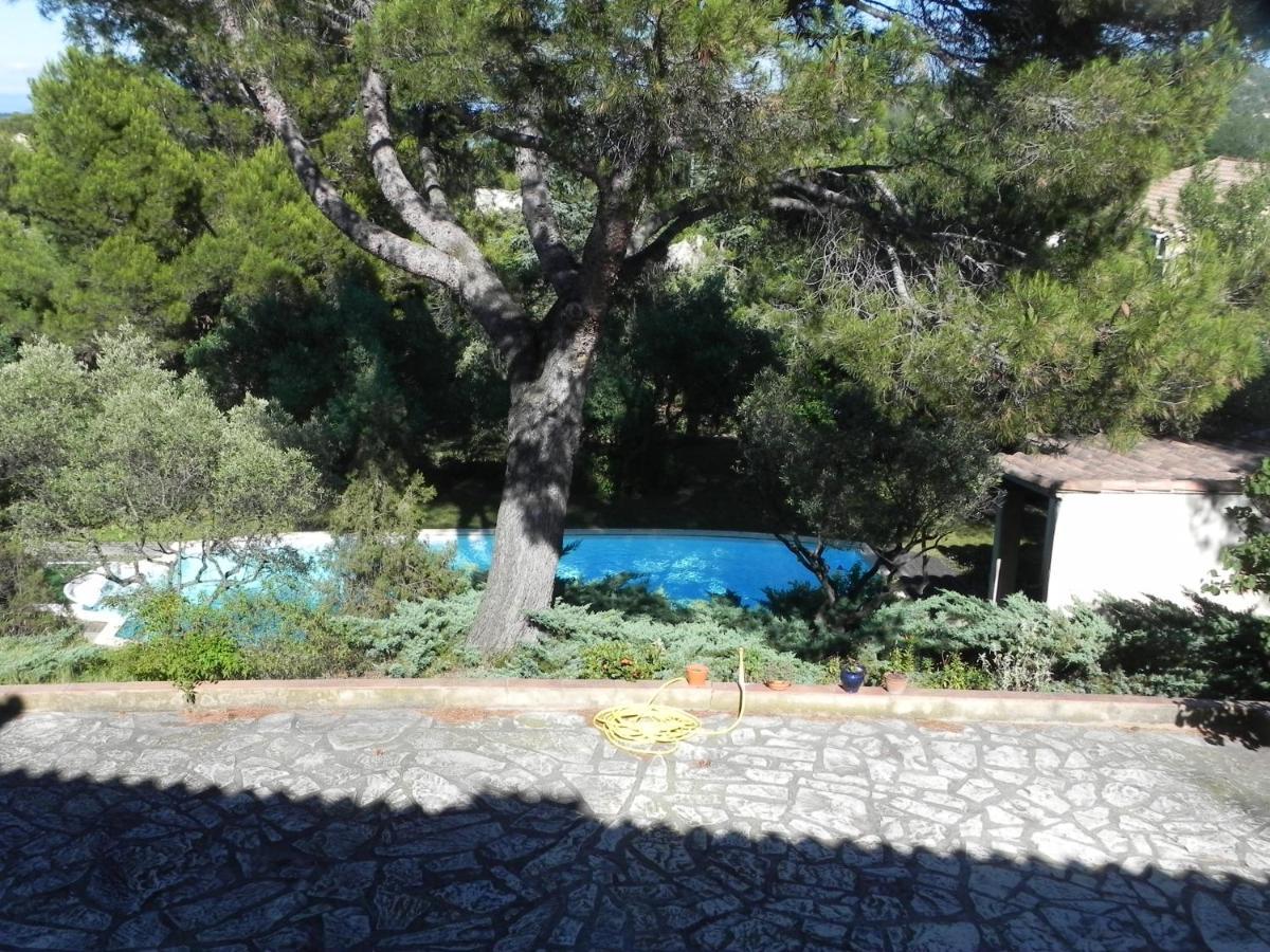 Séjour chez l'habitant D'hôte Mont Ventoux