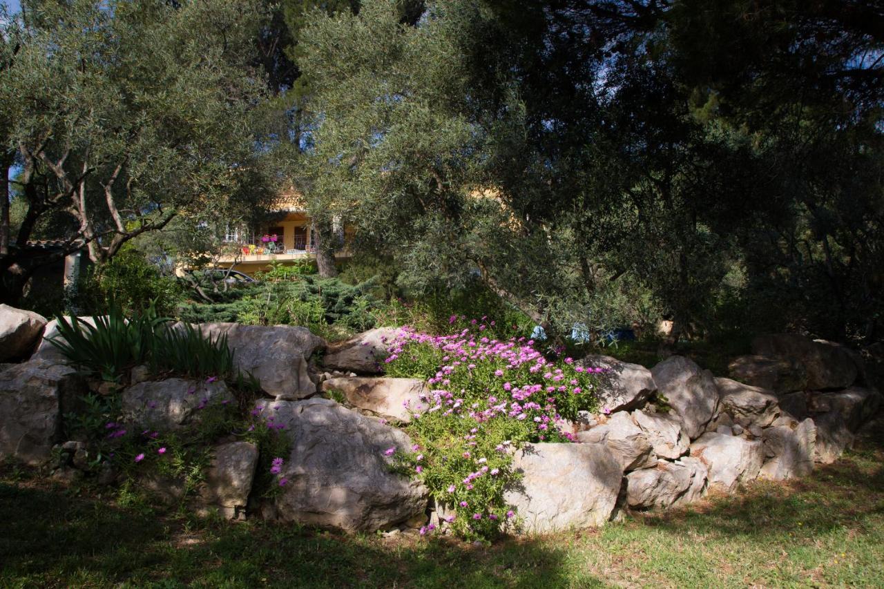Séjour chez l'habitant D'hôte Mont Ventoux Aramon